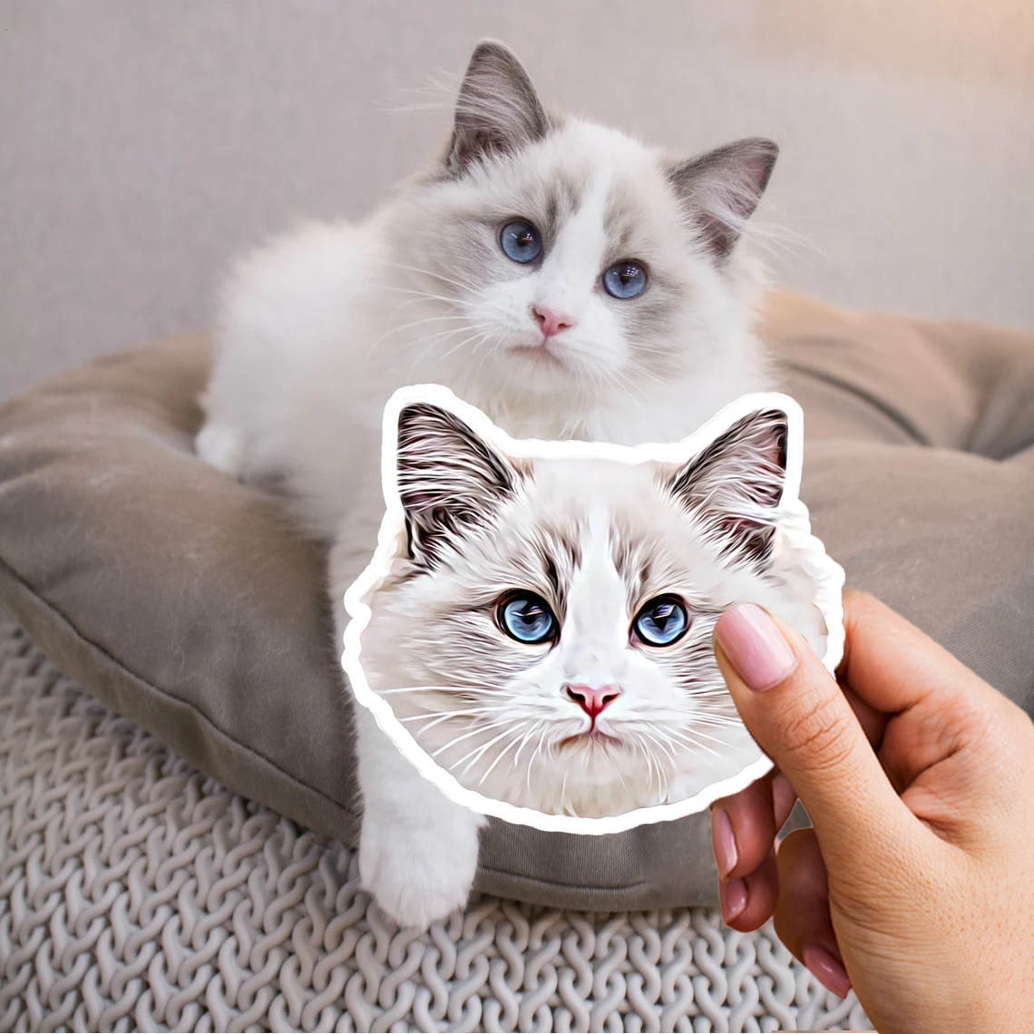 3x Adesivo personalizzato per il vostro animale domestico